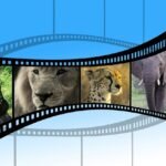 Документальные сериалы для любителей флоры и фауны